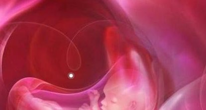 重度宫腔粘连在河间市做试管婴儿靠谱吗，重度宫腔粘连试管婴儿成功率多少！