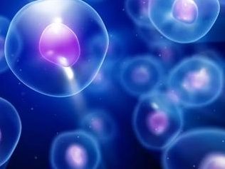 羊水浑浊孕妇一般有哪些表现？