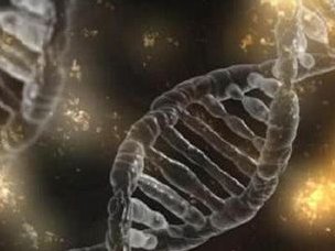 试管婴儿是试管里出来的吗？